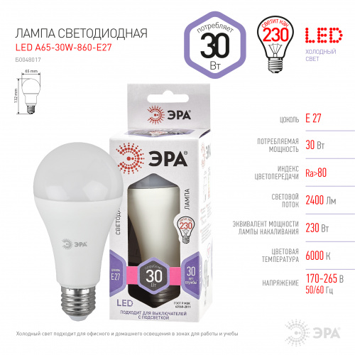 Лампа светодиодная ЭРА STD LED A65-30W-860-E27 E27 / Е27 30Вт груша холодный дневной свет (1/100) (Б0048017) фото 4