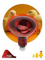 Лампа ЭРА накаливания ИКЗК ФИТО (инфракрасная зеркальная красная для растений) 250Вт E27 220В фито-спектр 1277К (15/360) (Б0042980)
