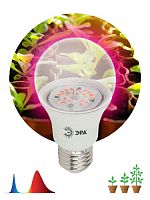 Лампа светодиодная ЭРА FITO-14W-RB-E27-K для растений красно-синего спектра 14 Вт Е27 (1/36) (Б0039071)