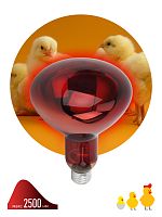 Инфракрасная лампа ЭРА ИКЗК 220-250 R127, кратность 1 шт. для обогрева животных и освещения, 250 Вт, Е27 (Б0055442)