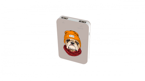 Мобильный аккумулятор Power bank RITMIX RPB-10007 Bulldog, 10000 Mah, выход 2xUSB 5В 2,1А max, LED индикация.Вход: microUSB.В комплекте: кабель micro USB (1/4/40) (80001363) фото 3