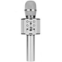 Микрофон динамический, однонаправленный HOCO Cool sound, BK3, пластик, 100-10000Гц, -72 дБ, цвет: серебряный (1/20) (6957531065784)