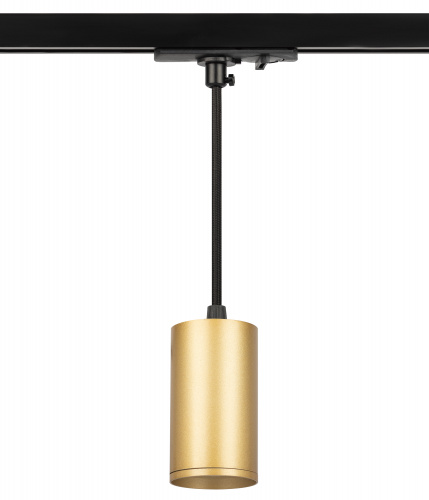 Трековый светильник однофазный ЭРА TR45 - GU10 S MG подвесной 52*100 мм под лампу MR16 золото (1/50) (Б0054184) фото 2