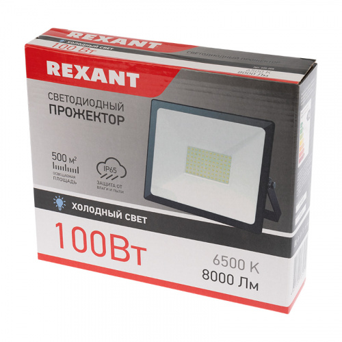 Прожектор светодиодный REXANT 100 Вт 200–260В IP65 8000 лм 6500 K холодный свет (1/12) (605-005) фото 2