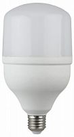 Лампа светодиодная ЭРА STD LED POWER T100-30W-6500-E27 E27 / Е27 30 Вт колокол холoдный дневной свет (1/20)