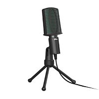 Микрофон Ritmix RDM-126 Black-Green, проводной, конденсаторный, всенаправленный, пластик, тканевая вставка, черный (1/40) (80000956)
