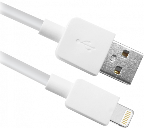 USB кабель DEFENDER ACH02-01L AM-Lightning, белый, 1m, пакет (1/100) (87496)