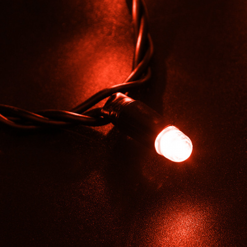 Гирлянда NEON-NIGHT Нить 10м, постоянное свечение, черный ПВХ, 24В, цвет: Красный (1/20) (305-142) фото 2