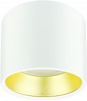 Светильник ЭРА подвесной накладной под лампу Подсветка декоративная GX53, алюминий, цвет белый+золото (40/800) OL8 GX53 WH/GD