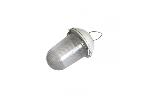 Светильник ЭРА НСП 02-100-001 без решетки Желудь сталь / стекло IP54 E27 max 100Вт 170х260 белый (1/10) (Б0052017)